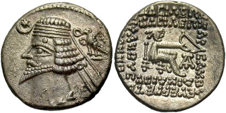 Perzsa holló gyűrűvel